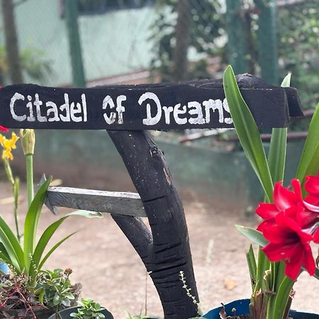 Citadel Of Dreams Ella Apartment ภายนอก รูปภาพ